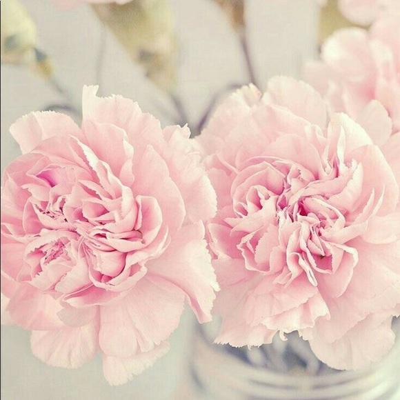 🌼✨ w e l c o m e ✨🌼 - Picture 13 of 15